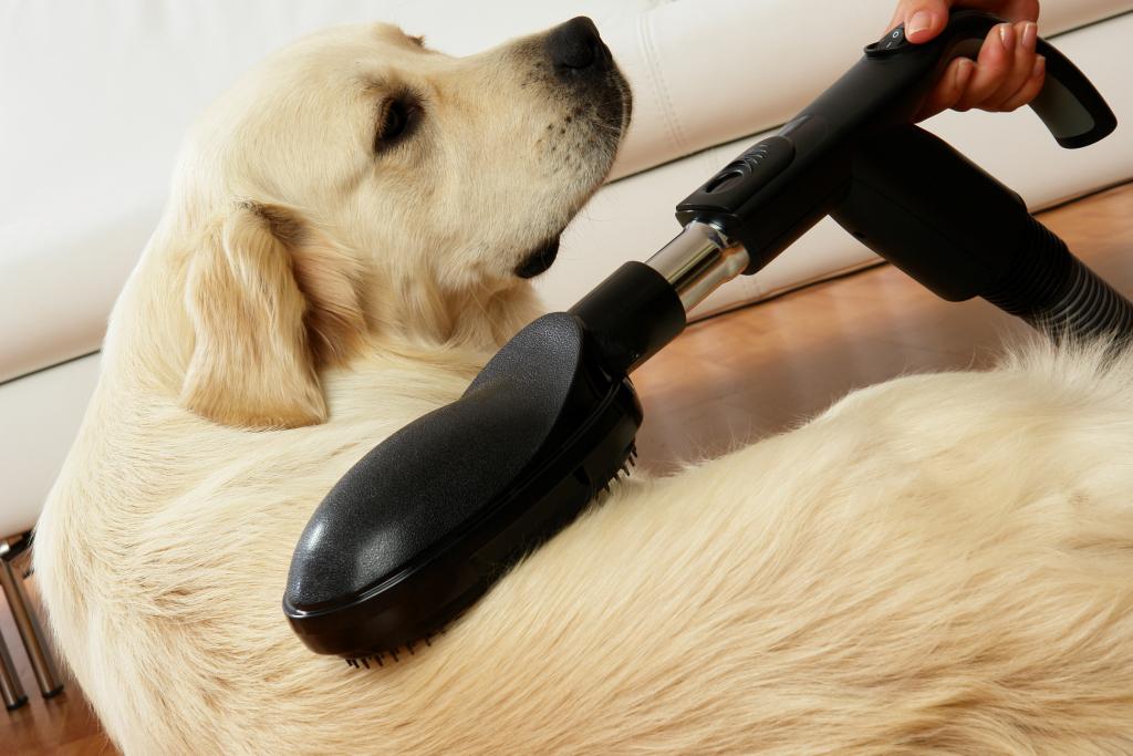 Ručná kefa na domáce zvieratá. Určené pre centrálne vysávače a centrálne vysávanie.